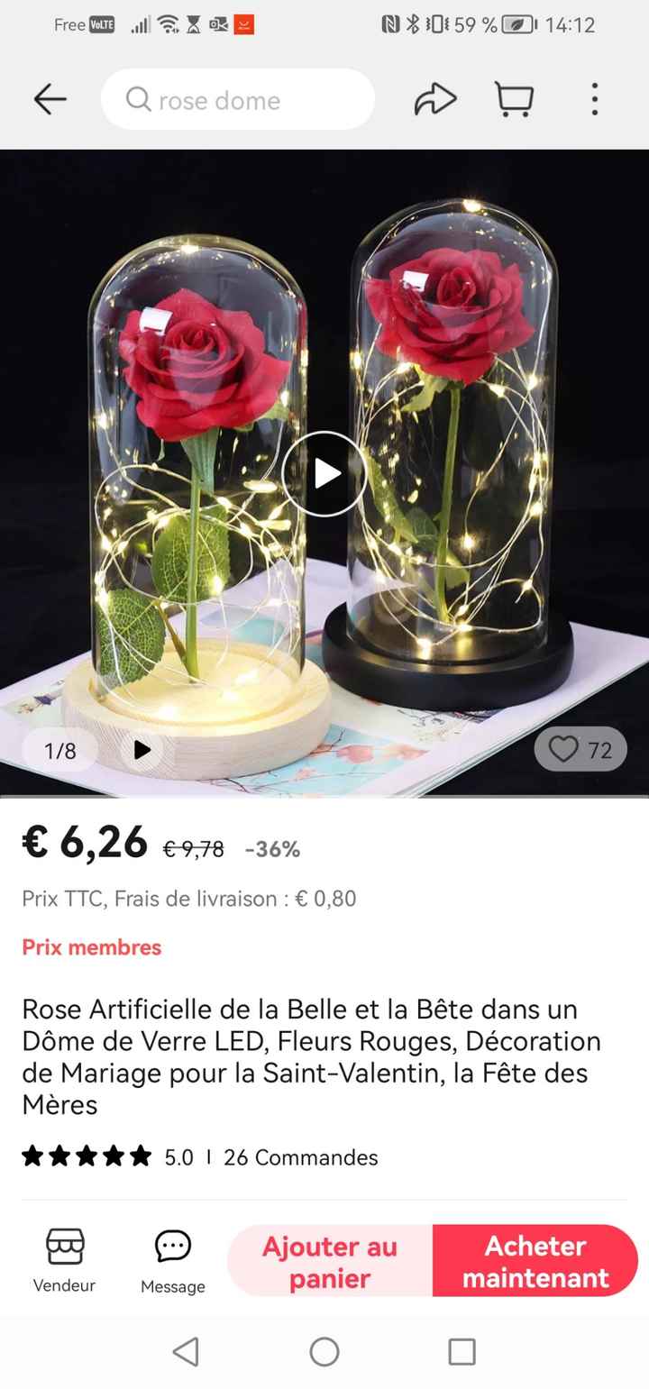 Mariage la belle et la bête - 5