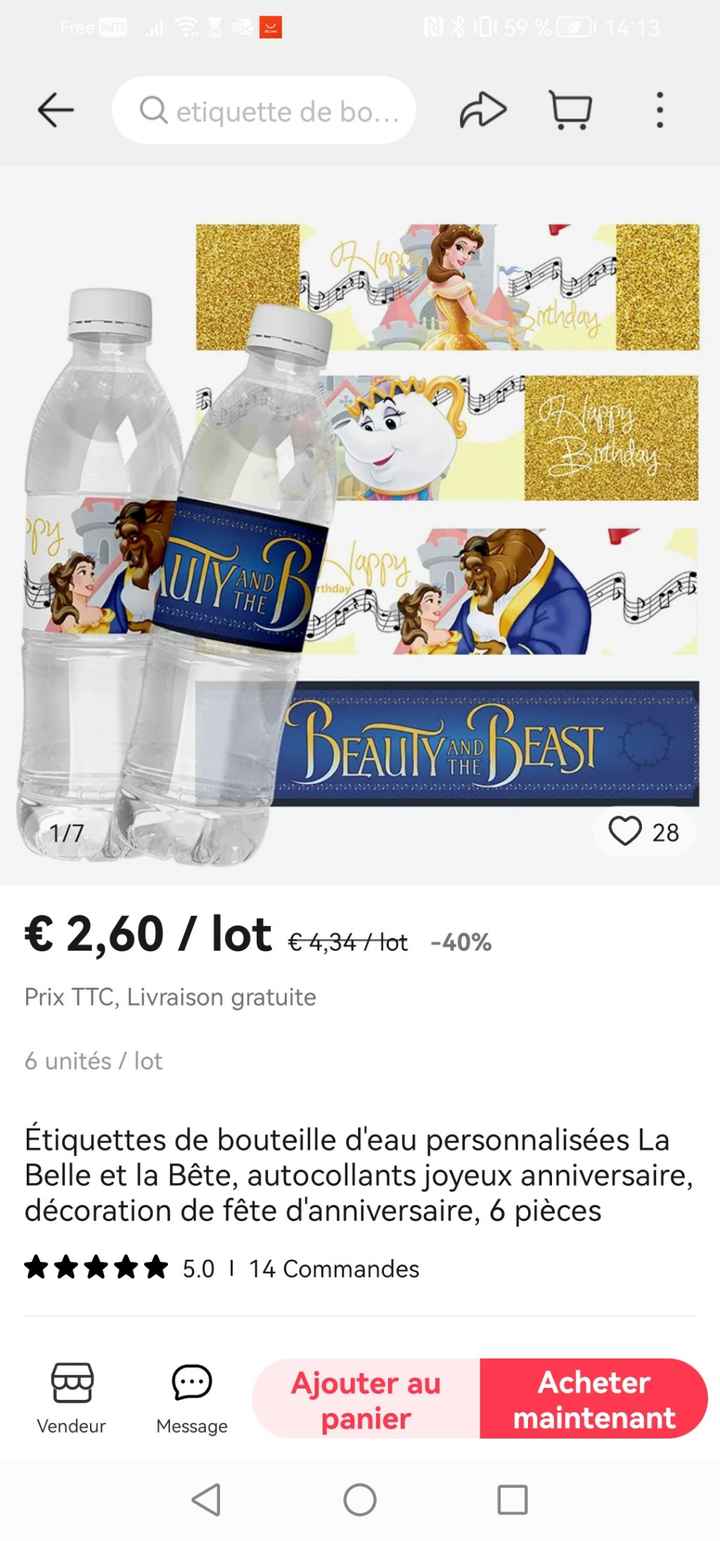 Mariage la belle et la bête - 6