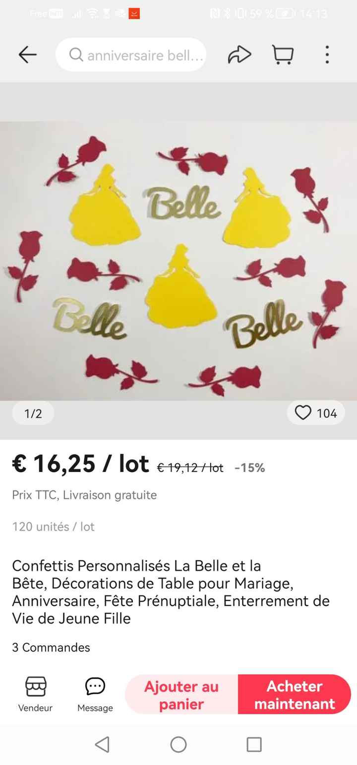 Mariage la belle et la bête - 7