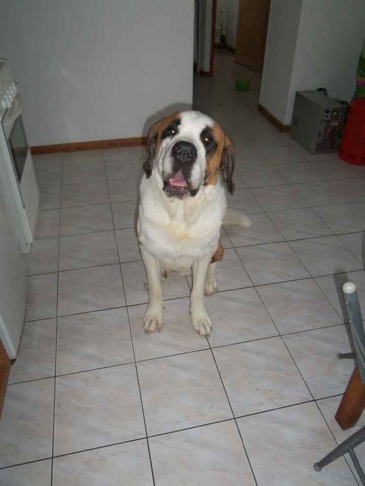 mon bébé 4 