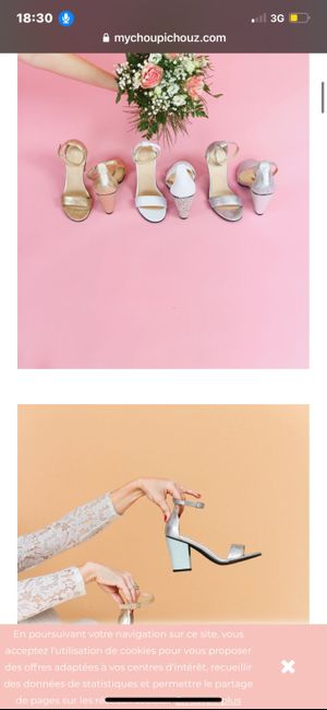 Talons interchangeables : vous connaissez ? 1