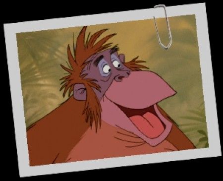 Roi Louis