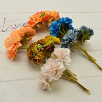 Fleur que je pense utiliser dans les cheveux