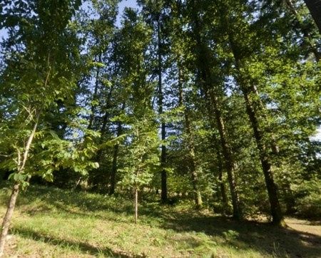 Le Domaine de Banizette