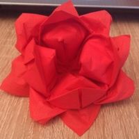 pliage de serviette