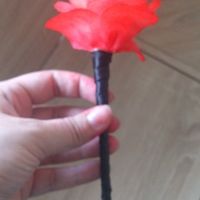 essaie fleur en filtre à café