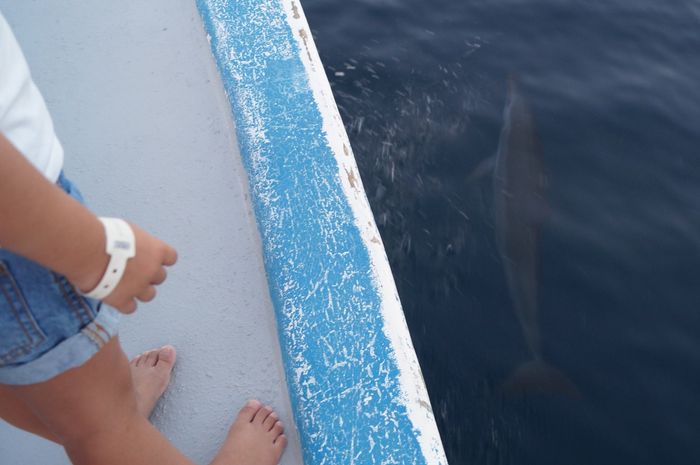 maldives