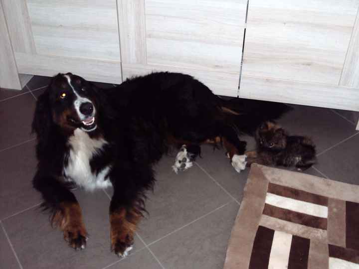 kenza et jody