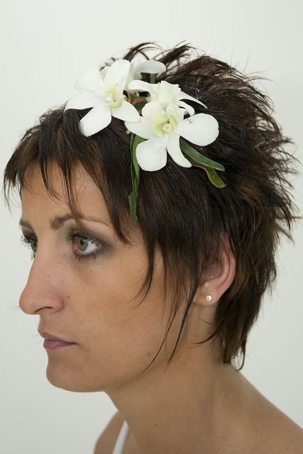 coiffure court