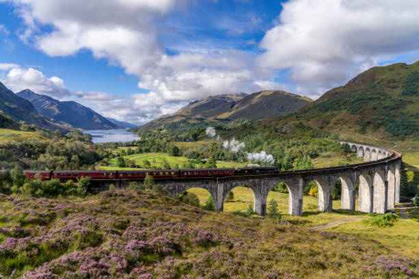 Idées décoration et inspirations pour notre thème Ecosse - 10