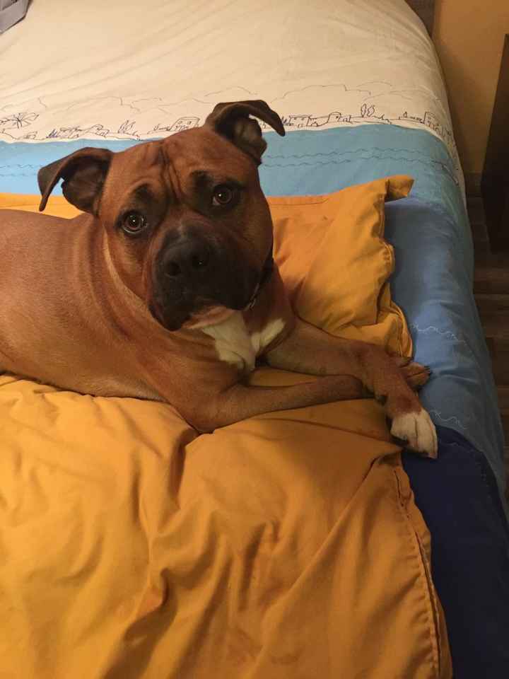 Aujourd'hui tout le monde participe... - 1