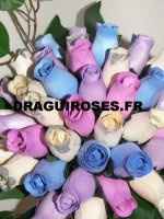 plusieurs couleur dispo