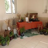 Déco de la salle - 3