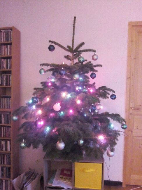 A vos sapins !!! - 1