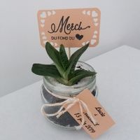 Écris seulement ce que tu offriras à tes invités ! - 1