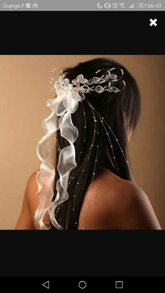 Vigne de cheveux - 2