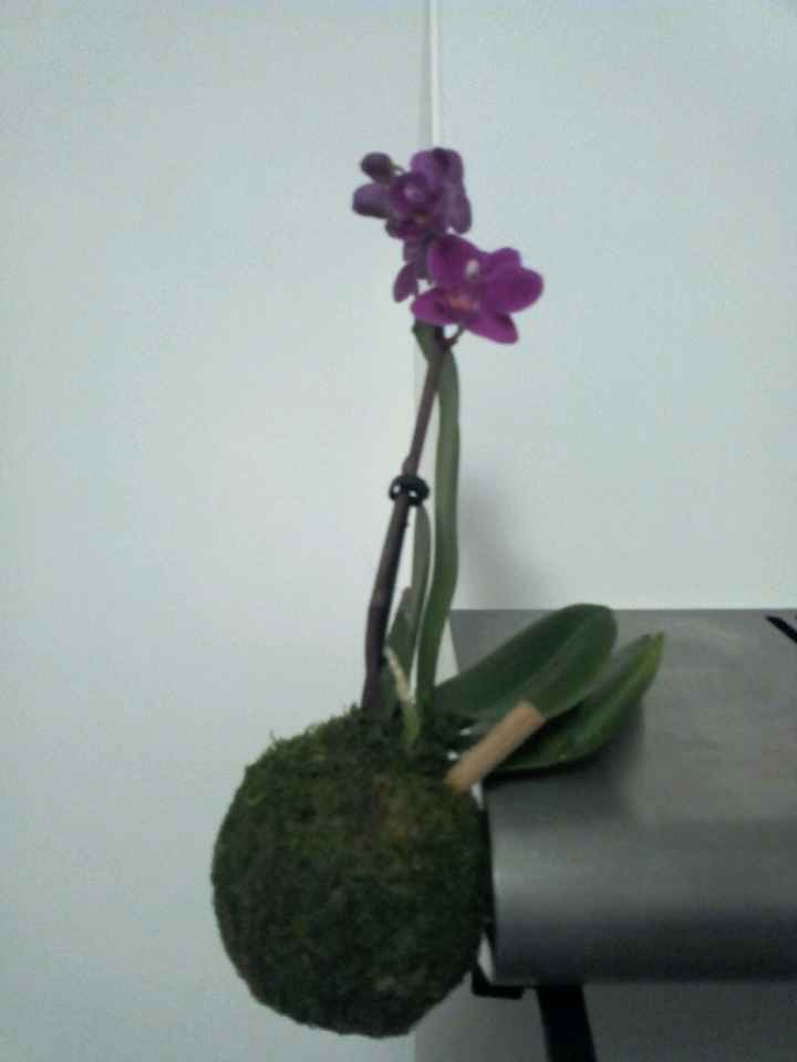 Trouvaille florale du jour - 1