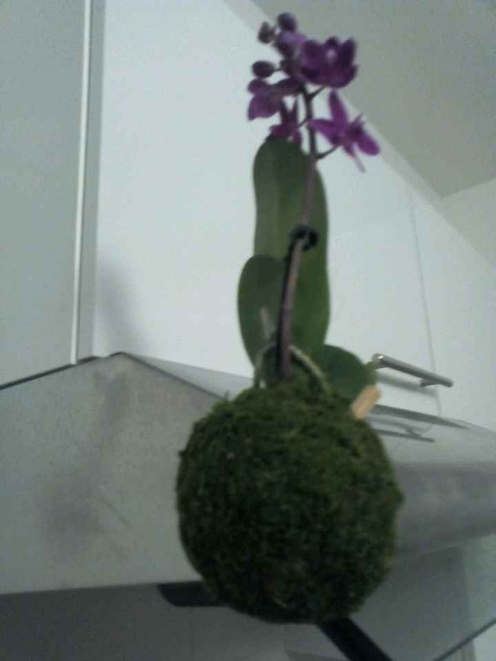 Trouvaille florale du jour - 2