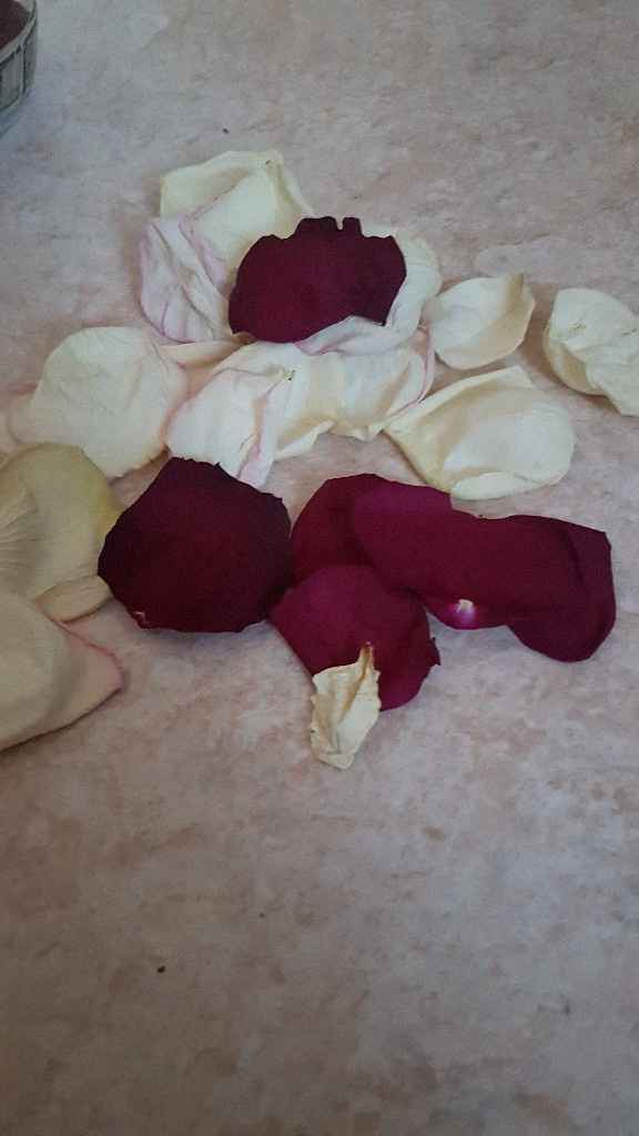 Crash test pétales séchées - 1