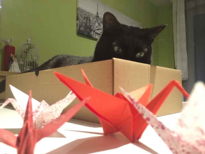 Diy origami - 1