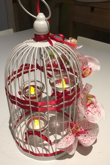 Cage à oiseau personalisation diy - 4
