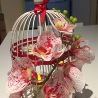 Cage à oiseau personalisation diy - 3