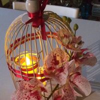 Cage à oiseau personalisation diy - 5