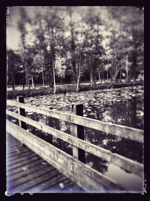 Lieu pour photo
