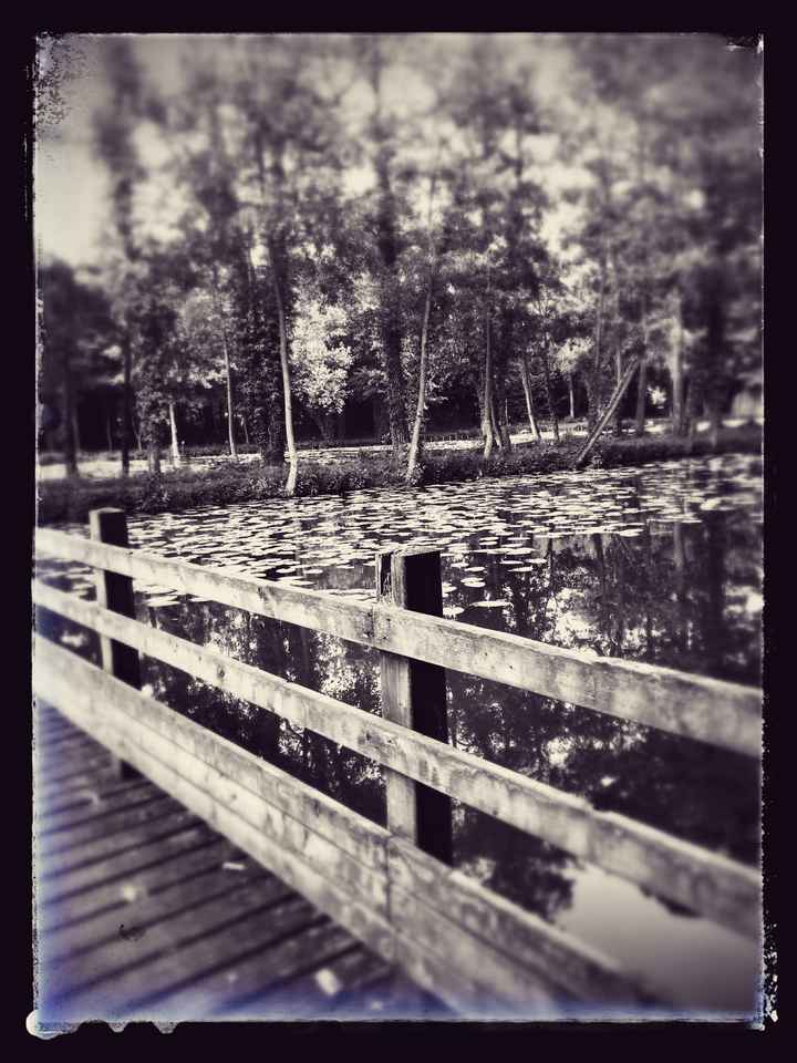 Lieu pour photo