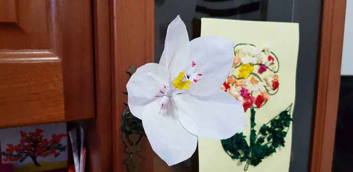 hibiscus pour église