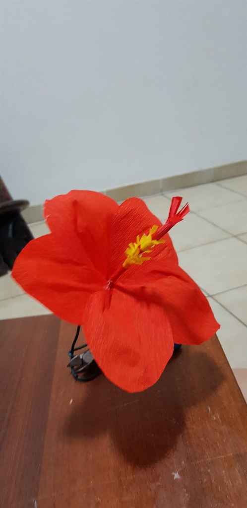 HIBISCUS ORANGE