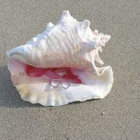 Quel porte alliance - 1