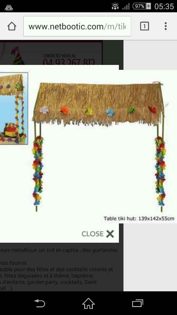 Ou trouver un tiki bar. - 1