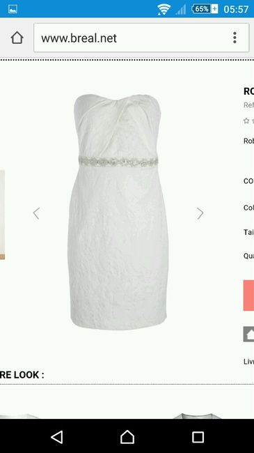 Ma robe pour le lendemain - 1