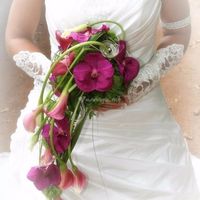 Mon Bouquet 