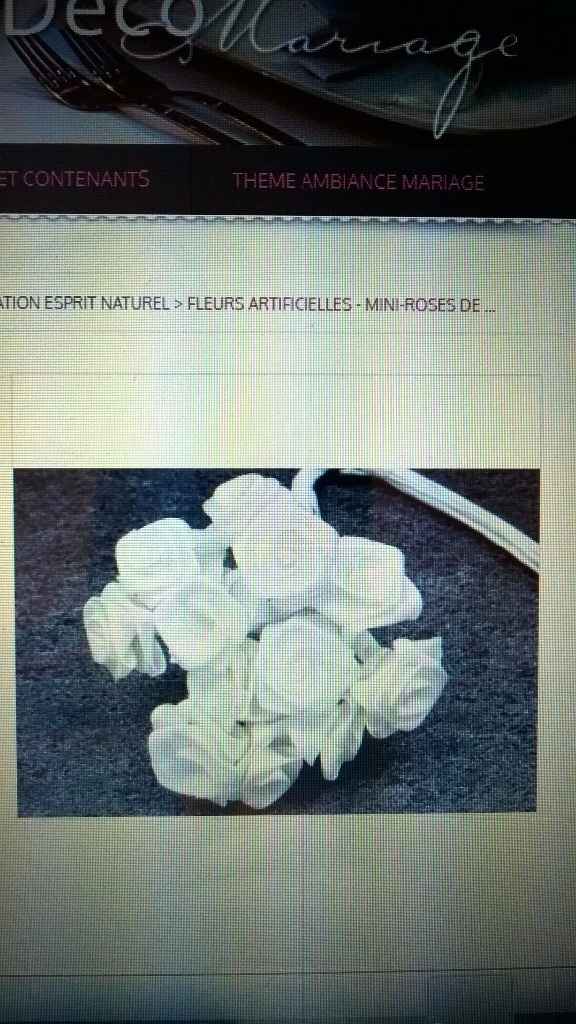 les roses de couleurs blanches