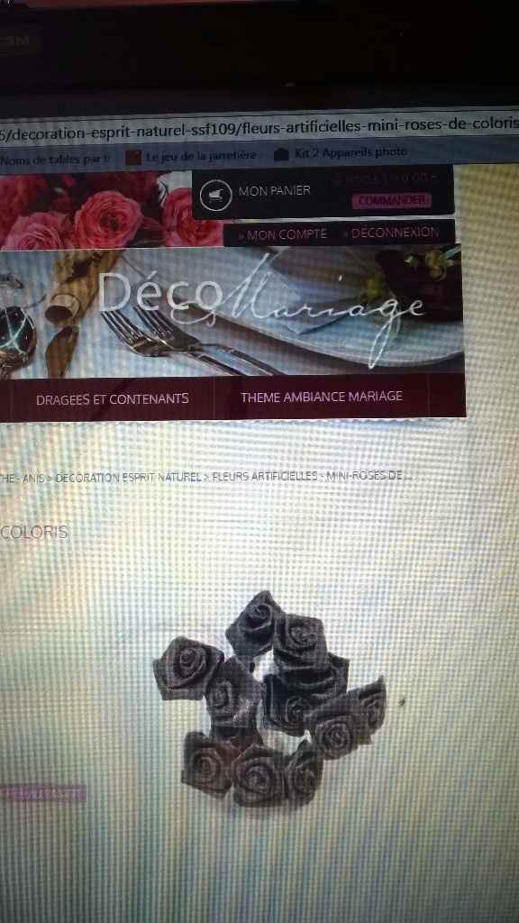 les roses de couleur marron