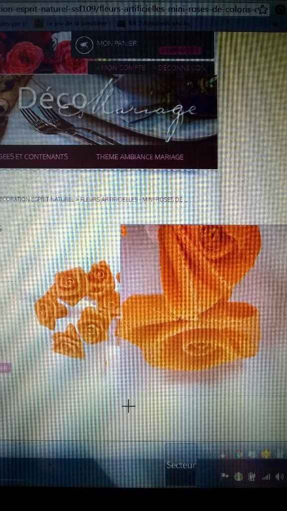 les roses de couleurs orange (car c'est la couleur de mon bouquet )