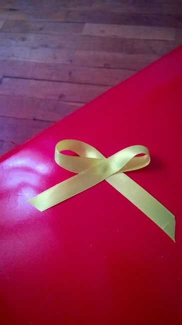 Mon Noeud pour les invités pour vous faire une idée pour les roses