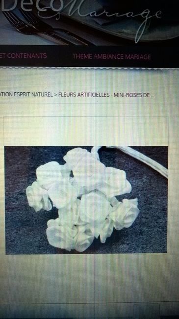 les roses de couleurs blanches