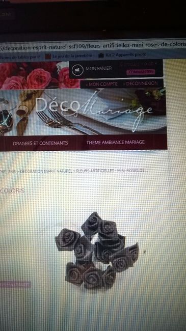les roses de couleur marron
