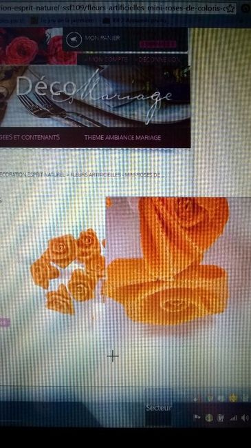 les roses de couleurs orange (car c'est la couleur de mon bouquet )