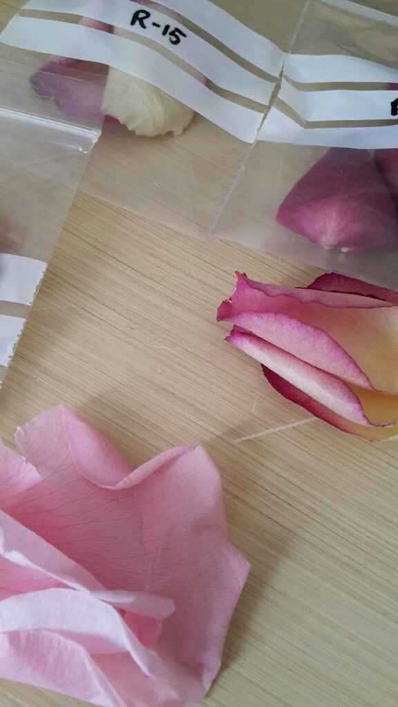 Prestataires en Champagne-Ardennes. Des idées ? - 1