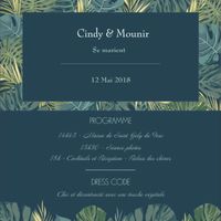 Faire part tropical - 1