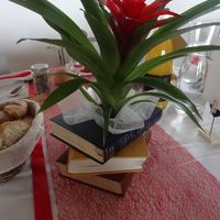 Hello tous le monde - 1