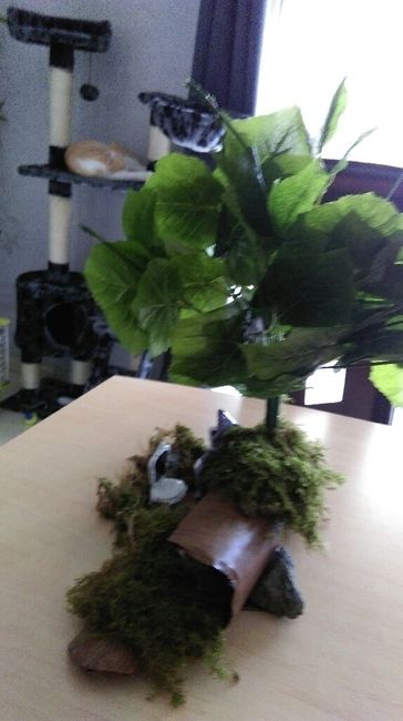 Ma deco sur le thème féerique - 10