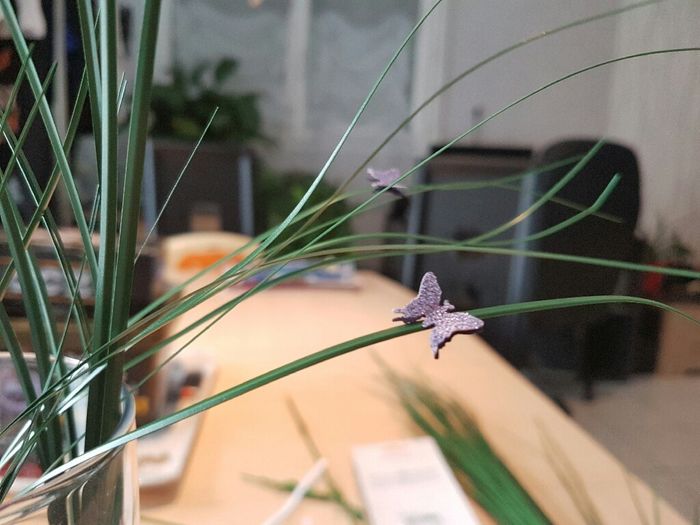 Ma deco sur le thème féerique - 4