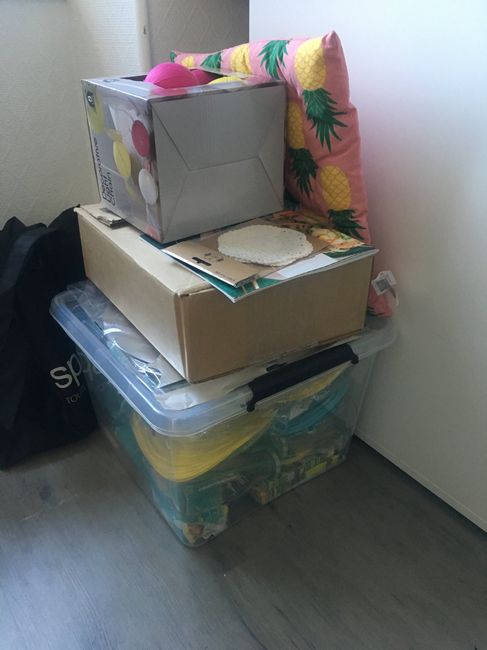 Mes 1ers achats thème tropical chic - 1