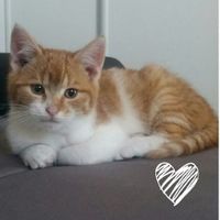 Cadeau d'anniversaire - 1