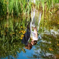 Notre mariage du 5 juin 🌸 - 3